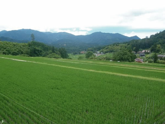 昔からの棚田