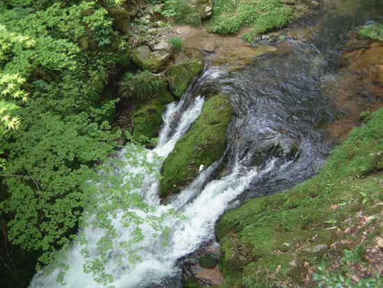 ミネラル豊富な水