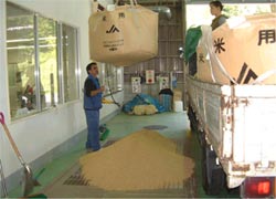 集荷荷受ホッパー