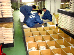 画像　梱包・出荷作業