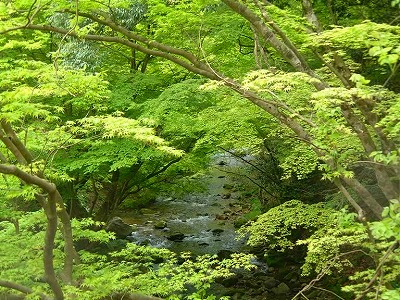 新緑と清流～上阿井