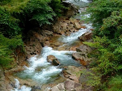 初秋の清流には 渓流魚が多く泳ぎます。