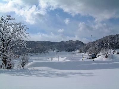 棚田は静かに雪に 埋もれています。