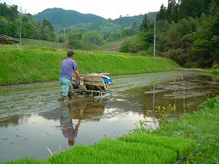『田植え』