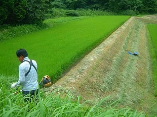 草刈り