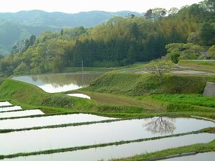 阿井地区