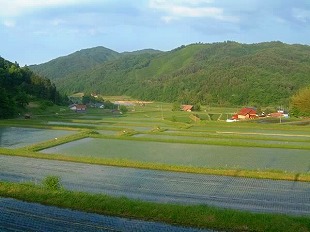 『馬木地区』