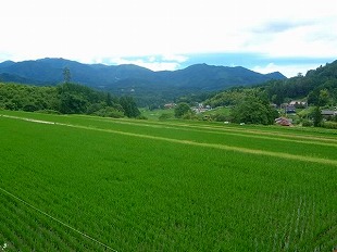 大原新田