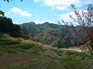 鴨倉地区春