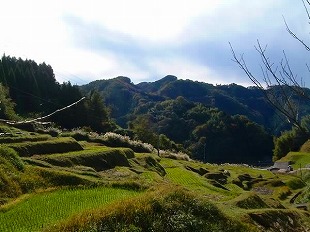 鴨倉地区秋