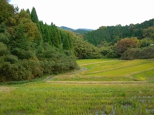 三沢地区秋
