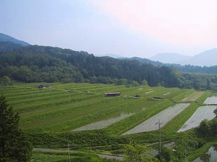 馬木地区春