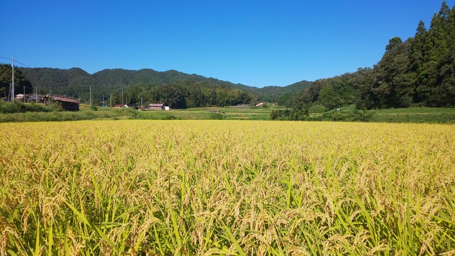 8月29日