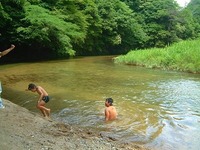 夏